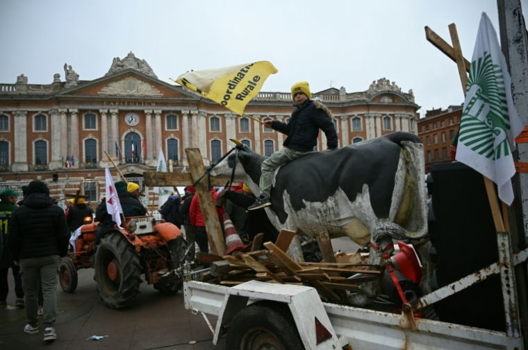 Manifestation à l'appel de l'intersyndicale agricole de Haute-Garonne pour protester contre la gestion de la dermatose bovine par le gouvernement, le 3 janvier 2025 à Toulouse   ( AFP / Matthieu RONDEL )