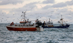L'UE DEMANDE DES EXPLICATIONS À LONDRES SUR LES LICENCES DE PÊCHE