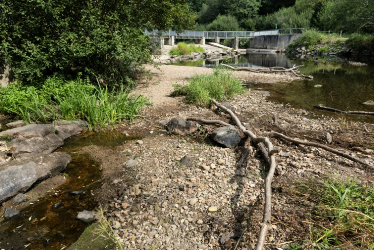 Le Steïr, petit affluent de l'Odet, dans le Finistère, le 31 juillet 2026 ( AFP / Fred TANNEAU )