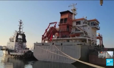 Zelensky en Turquie à la veille du 500e jour de l'invasion russe de l'Ukraine