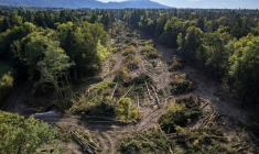 Vue aérienne d'une zone déboisée traversant la forêt lors de la construction controversée de l'autoroute A412 près d'Allinges, en Haute-Savoie, le 14 octobre 2026 A coalition of associations, farmers, and residents on October 14, 2026, sought to halt construction of the A412 motorway, arguing that its environmental impact runs “counter to the climate emergency.” While a court ruling is expected on October 15, 2026, protesters have staged near-daily demonstrations, resulting in dozens of detentions and fines, according to organizers. ( AFP / Fabrice COFFRINI )