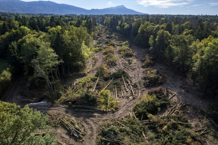 Vue aérienne d'une zone déboisée traversant la forêt lors de la construction controversée de l'autoroute A412 près d'Allinges, en Haute-Savoie, le 14 octobre 2026 A coalition of associations, farmers, and residents on October 14, 2026, sought to halt construction of the A412 motorway, arguing that its environmental impact runs “counter to the climate emergency.” While a court ruling is expected on October 15, 2026, protesters have staged near-daily demonstrations, resulting in dozens of detentions and fines, according to organizers. ( AFP / Fabrice COFFRINI )