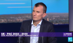 Nouvelle PAC au sein de l'UE : nourrir ou verdir, faut-il choisir ?