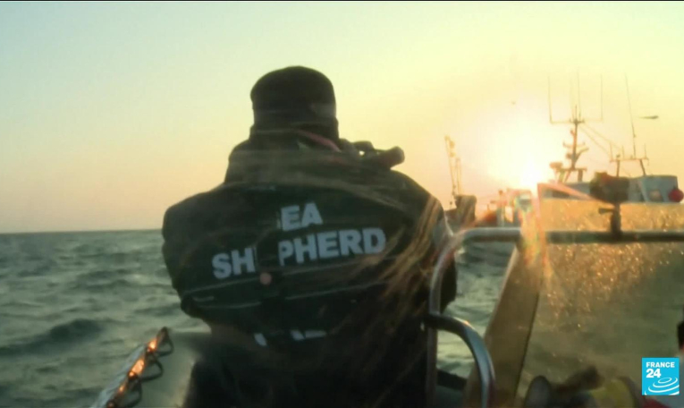 Groenland : la détention de Paul Watson, défenseur des baleines, prolongée de 28 jours