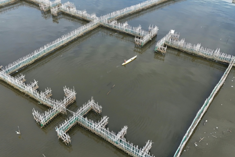 Des pièges à sédiments en bambou à Malolos, aux Philippines, le 13 octobre 2026 ( AFP / Ted ALJIBE )