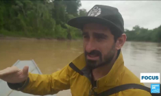 Pérou : haro sur le shihuahuaco, un arbre millénaire en danger
