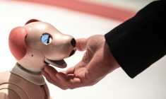 Une personne interagit avec un robot Aibo, à Tokyo le 22 mars 2022 ( AFP / Philip FONG )