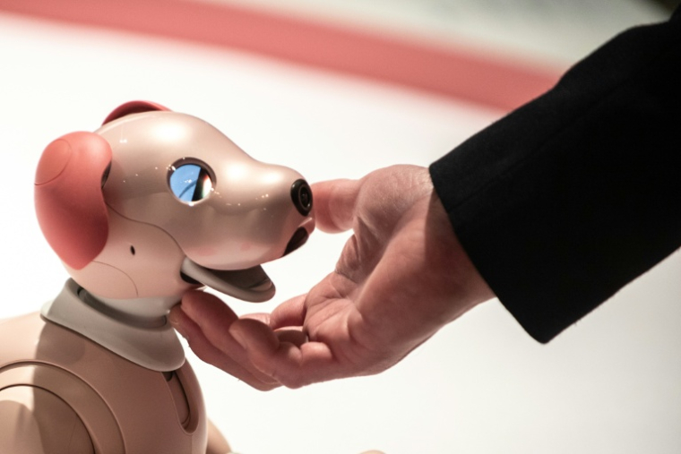 Une personne interagit avec un robot Aibo, à Tokyo le 22 mars 2022 ( AFP / Philip FONG )