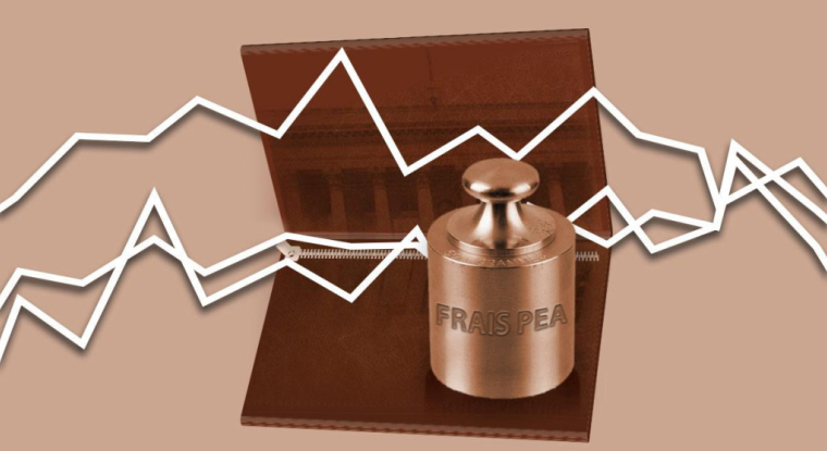 Les frais des PEA seront plafonnés à partir du 1er juillet. (© DR)