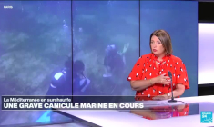 Alerte aux canicules marines: la Méditerranée en surchauffe