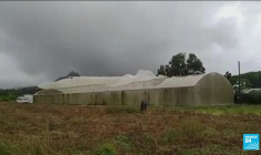 La Réunion : le cyclone Belal pourrait "marquer l'histoire"