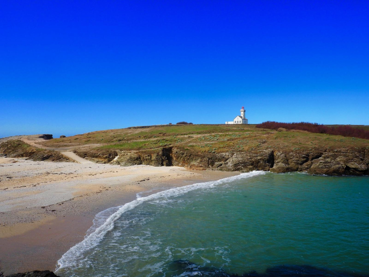 Les ont fortement augmenté depuis 2019 dans l'ouest de la France (illustration). (Pixabay / MarineBrs)