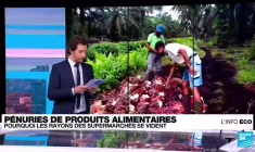 France : pourquoi l'huile de tournesol manque-t-elle dans les rayons des supermarchés ?