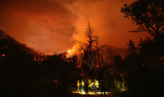 Des pompiers luttent contre les flammes à Calistoga, en Californie, le 21 août 2025 ( AFP / JOSH EDELSON )