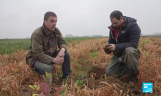 Récoltes : et s'il ne nous restait que 60 ans ?