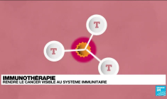 Santé : les thérapies ciblées contre le cancer