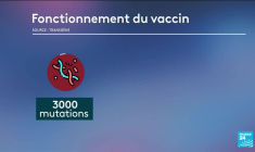 Cancer ORL : l'espoir d'un vaccin