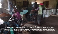 Au Nigeria, la filière karité sous le choc de l'interdiction d'exportation des noix