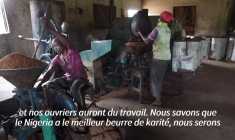 Au Nigeria, la filière karité sous le choc de l'interdiction d'exportation des noix
