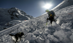 Un maître-chien membre de l'équipe de secours en montagne CRS Alpes Grenoble recherche avec un chien d'éventuelles victimes ensevelies lors d'une mission de sauvetage d'urgence suite à une avalanche dans une zone hors-piste du massif des Écrins, le 29 janvier 2026 ( AFP / JEFF PACHOUD )