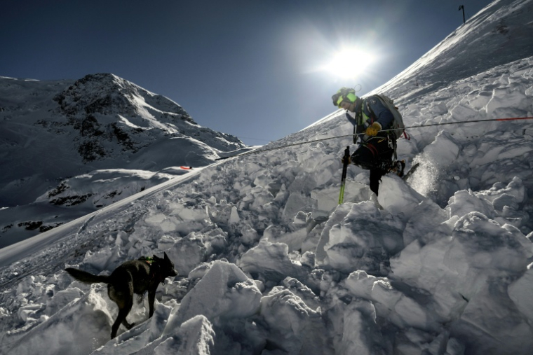 Un maître-chien membre de l'équipe de secours en montagne CRS Alpes Grenoble recherche avec un chien d'éventuelles victimes ensevelies lors d'une mission de sauvetage d'urgence suite à une avalanche dans une zone hors-piste du massif des Écrins, le 29 janvier 2026 ( AFP / JEFF PACHOUD )