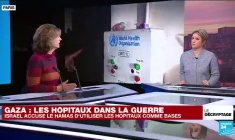 Gaza : les tunnels du Hamas et l'opinion internationale