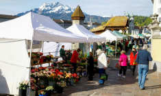 Vue du Mont Pilate derrière un marché hebdomadaire à Lucerne