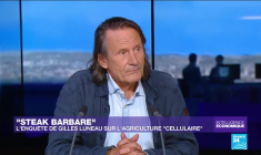 "Steak barbare" : l’enquête de Gilles Luneau sur l’agriculture "cellulaire"