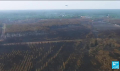 Incendies en Gironde : les deux feux sont "stabilisés"