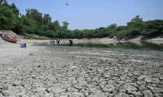 Des personnes ramassent des poissons morts dans un lac partiellement asséché lors d'une vague de chaleur à New Delhi, le 22 mai 2026 ( AFP / Arun SANKAR )