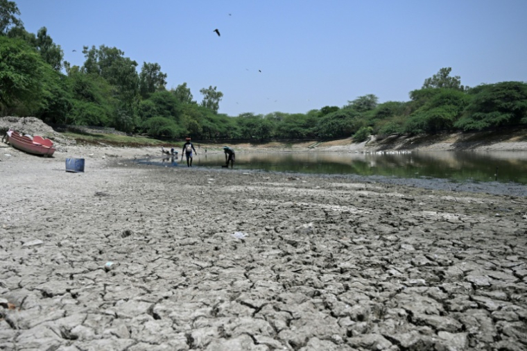 Des personnes ramassent des poissons morts dans un lac partiellement asséché lors d'une vague de chaleur à New Delhi, le 22 mai 2026 ( AFP / Arun SANKAR )