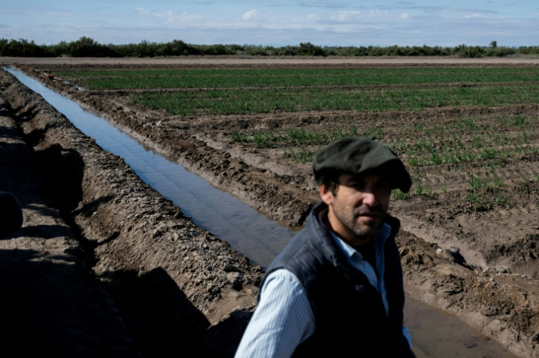 Nicolas Yanzon pose à côté d'un canal d'irrigation et de ses champs d'oignons à Villa Media Agua, en périphérie de San Juan, en Argentine, le 25 avril 2026  ( AFP / Luis ROBAYO )