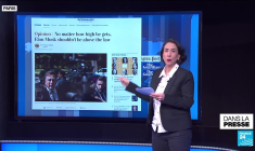 "L'extrême-droite allemande et son plan "secret""