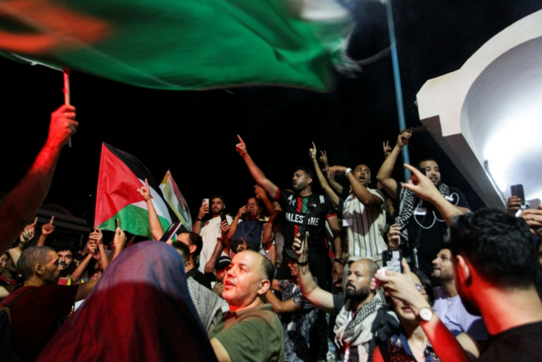 Des militants propalestiniens rassemblés au port de Sidi Bou Saïd, près de Tunis, le 9 septembre 2025 en Tunisie ( AFP / YASSINE MAHJOUB )