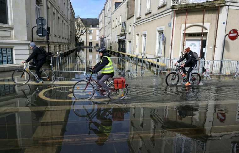 Des cyclistes dans une rue inondée d'Angers, le 20 février 2026  ( AFP / Damien MEYER )