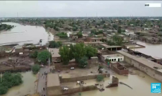 Climat : vers un retour d'El Niño ? : températures records à la surface des océans en avril