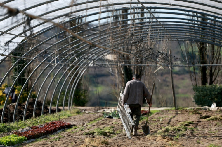 Un homme répare une serre endommagée par les intempéries à Bazas, dans le sud-ouest de la France, le 24 février 2026 ( AFP / ROMAIN PERROCHEAU )