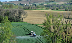 ( AFP / REMY GABALDA )