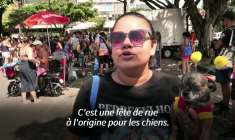 Brésil : À Rio, les chiens se joignent aux festivités du carnaval avec le festival Blocao