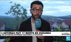 Ouganda : l'anthrax, la fièvre charbonneuse, fait 17 morts