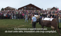En Suisse, une course à dos de vaches réservée aux femmes