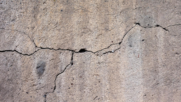 La racine du platane serait responsable des fissures sur le mur d'enceinte de la propriété. (illustration) (PellissierJP / Pixabay)