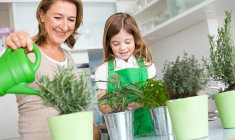 Les mini-potagers urbains séduisent, mais les prix varient de 20 euros à 200 euros. ( crédit photo : Getty Images/Image Source )