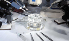 UCB lance une OPA amicale sur RA Pharmaceuticals. (© UCB)