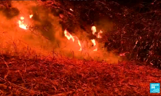 Incendies en Algérie : lourd bilan humain et des feux toujours en cours