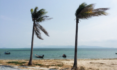 (Crédits photo : Unsplash - Alexey Demidov )