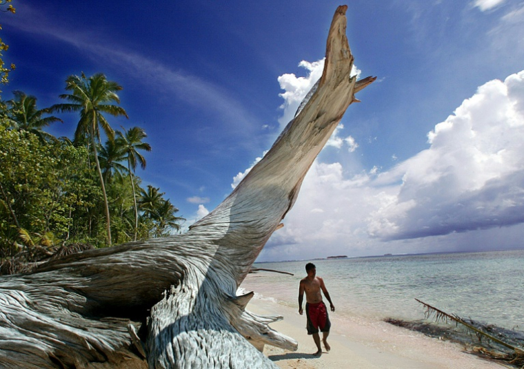 Le rivage de l'îlot de Tepuka, sur l'atoll de Funafuti, le 22 février 2004, alors que la montée des eaux inonde de nombreuses îles basses de l'archipel des Tuvalu ( AFP / TORSTEN BLACKWOOD )