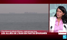Non, l'Europe ne dépend pas du détroit d'Ormuz pour ses importations de pétrole
