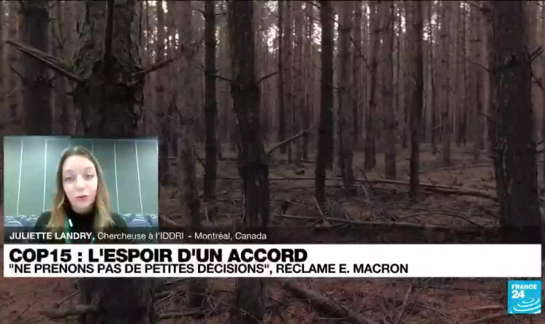 COP 15 : "c’est une des conventions qui a le plus de pays réunis"