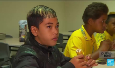 Les agriculteurs se mobilisent aux Antilles et à la Réunion